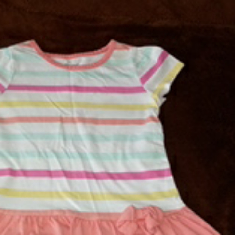 Healthtex 4t multi color dress